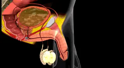 COD单页系统建站,联系QQ：494906791/微信：Cod_web